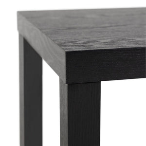 Apley End Table - Black 16096283