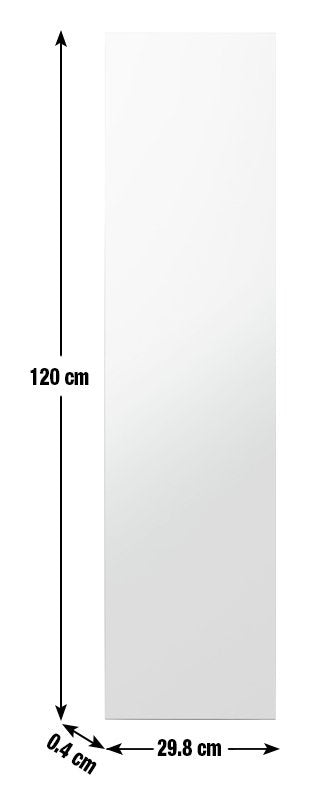 Frameless Full Length Wall Mirror -120X30cm 13835148