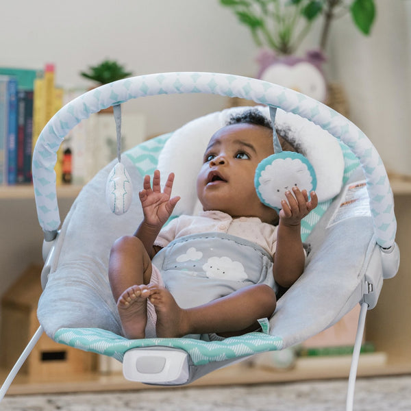 Ingenuity Bouncity Bounce Vibrating Deluxe Baby Bouncer 19640966
