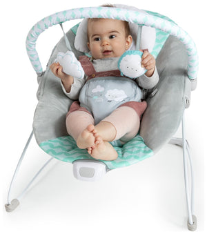 Ingenuity Bouncity Bounce Vibrating Deluxe Baby Bouncer 19640966