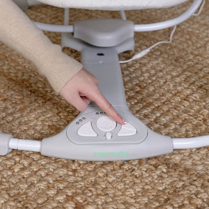 Ingenuity Cosy Spot Swing n Go Portable 17359912
