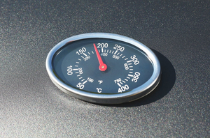 2 Burner Gas And Charcoal BBQ 12066004