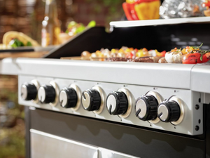 Deluxe 6 Burner Gas BBQ 19539785