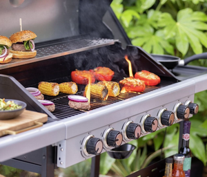 Premium 6 Burner Gas BBQ 19647079