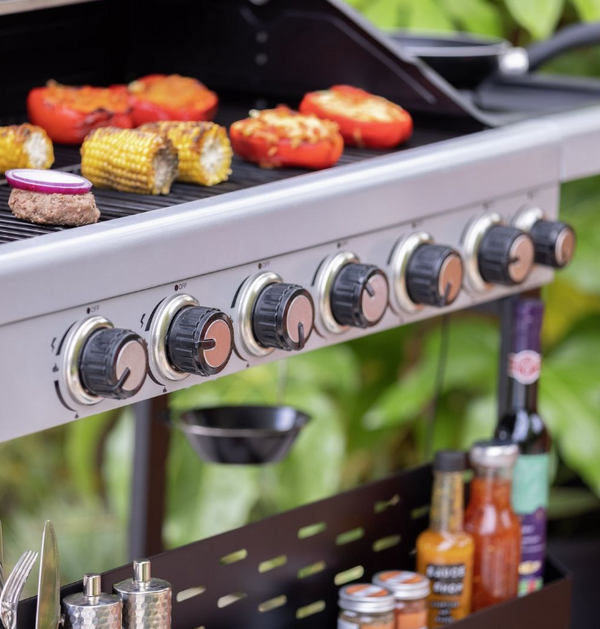 Premium 6 Burner Gas BBQ 19647079