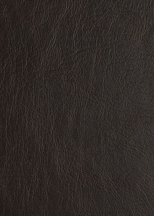 Salisbury Leather 2 Seater Sofa - Chocolate 13336348