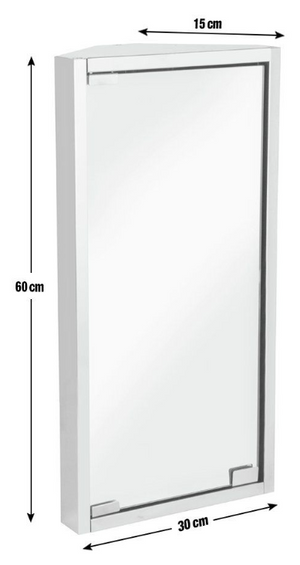 Stainless Steel 1 Door Mirrored Cabinet 14090803