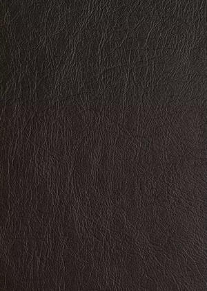 Home Salisbury Leather 2 Seater Sofa - Chocolate 13336348