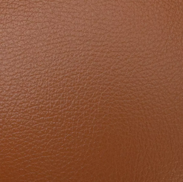 Newell Leather Armchair - Tan 12005498