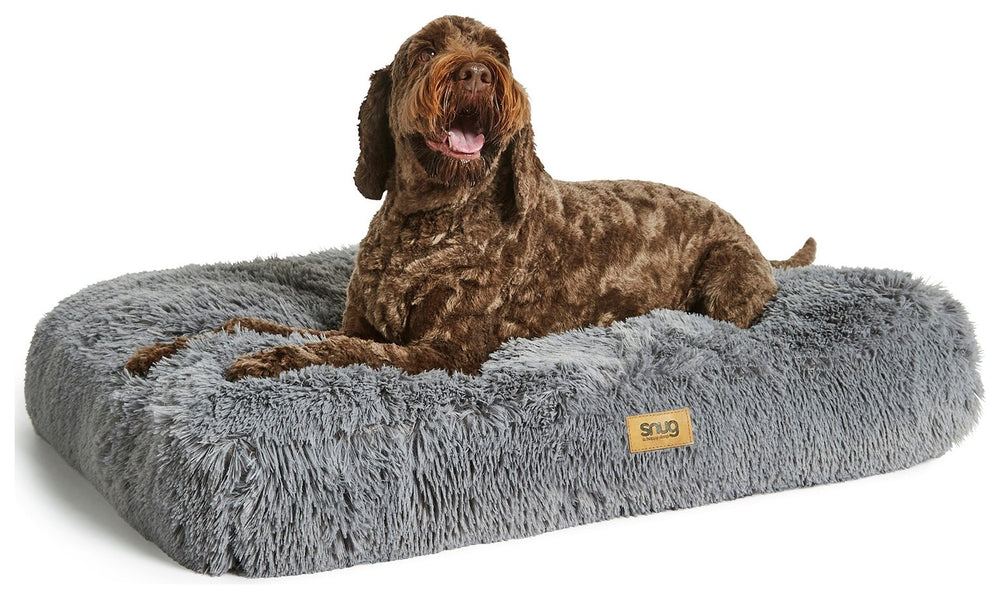 Pet Supplies